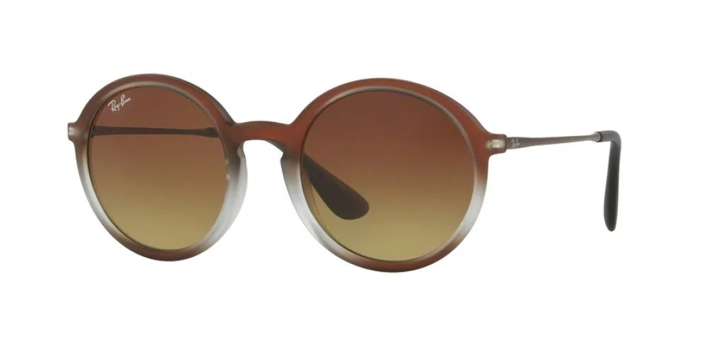 Ray-Ban 4222 Sunglasses - view 7